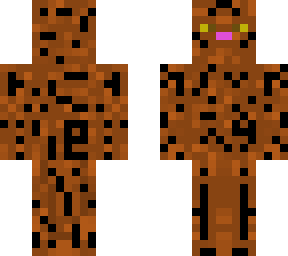 the tabby cat