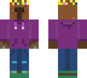 capybara in a hoodie with a crown