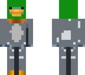 mallard duck