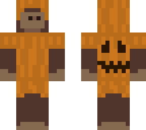 monkey in pumpkin