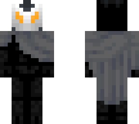the hollow knight