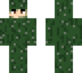 kirinsega cactus