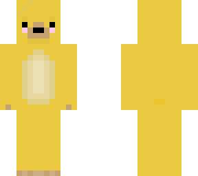 sun bear