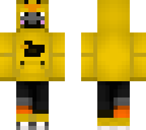 cat with duck costume