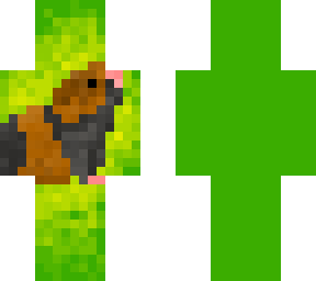 guinea