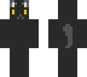 black cat