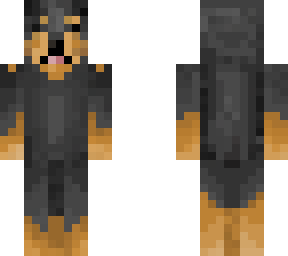 rust and tan dog