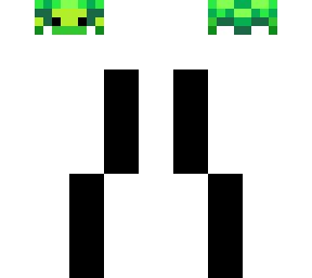 turtle hat