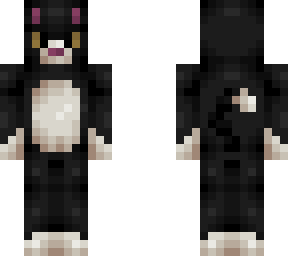 black and white cat