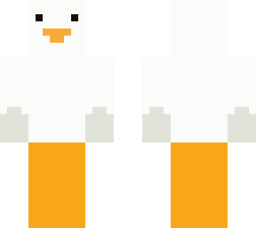 seagull