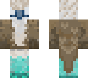 blue footed boobie bird