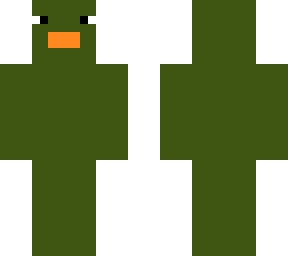 swamp duck