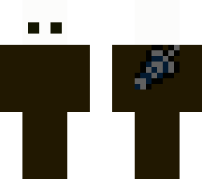 hollow knight skin