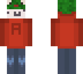 frog hat christmas dude