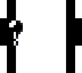 snowecho_