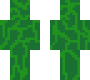 vine guy