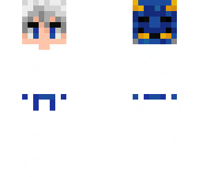 new ninja skin