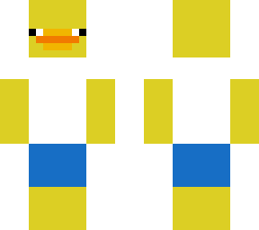 summer duck