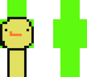 dream duck