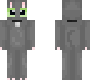 light grey cat