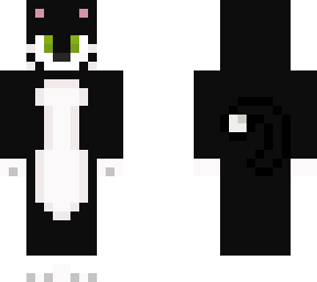 my cat