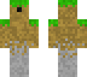 the overworld