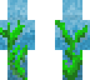 seaweed fix