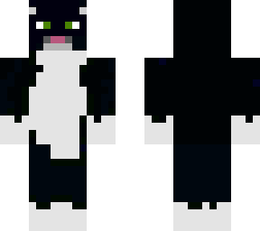 tuxedo cat