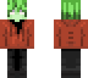 skin