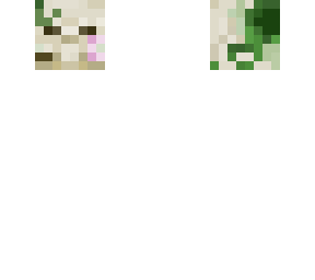 skull