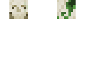 skull