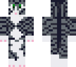 tabby cat