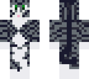 tabby cat
