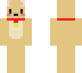 cute dog