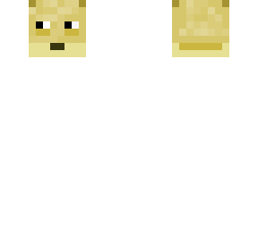 skin canvas