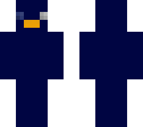 v1 server skin