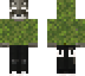 mossy racoon