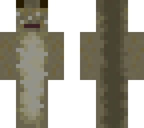 mudskipper