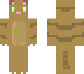 brown cat