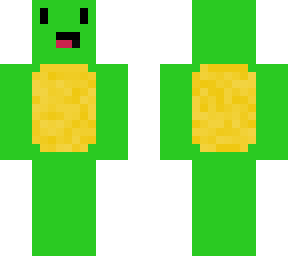 mr turtle