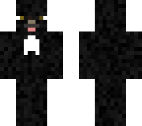 black colored dog