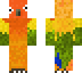 sun conure