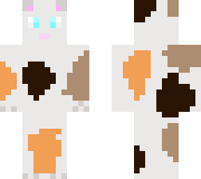 cat skin