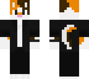 calico cat with cool jacket
