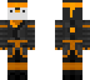ninja penguin