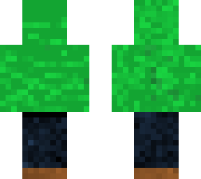 novicenkatti