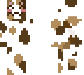 calco kitty