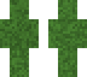 camo 2.0