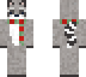racoon with scarf