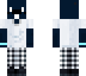 a minecraft guy